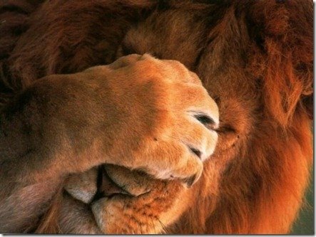 смысл жизни и духовный процессинг