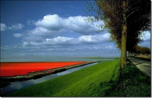 успехи в одитинге