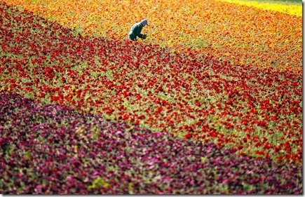 отношение к жизни